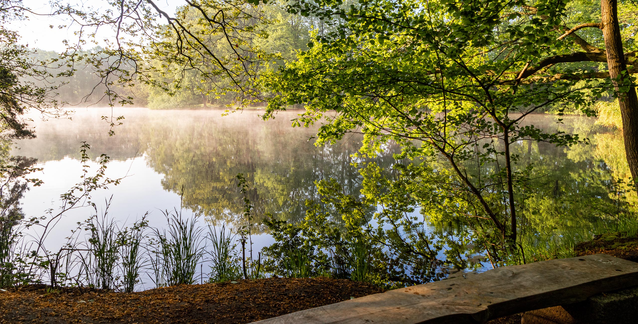 trauerfeier elmshorn 02